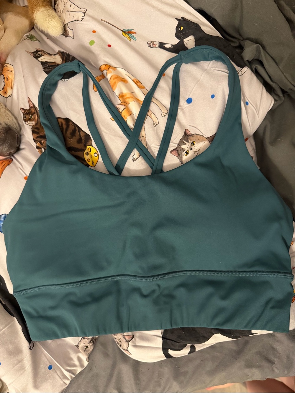 Paragon Teal Criss Cross Strappy Sports Bra With Removable Pads XL GUC